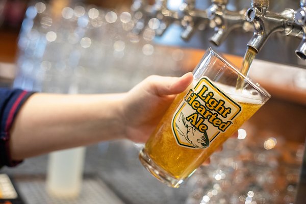 A bartender pours a pint of Light Hearted from a draft handle. 