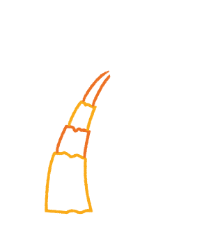 A tropical palm tree