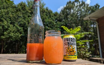 Sun-Kissed Oberon Sunshine Shandy Cocktail