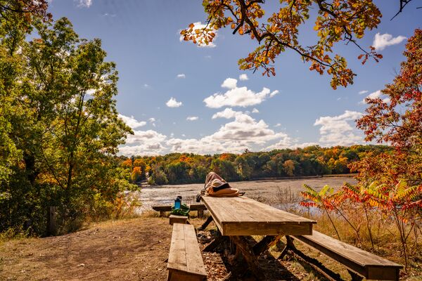 Person sitting on a picnic table on a beach with woods in the background